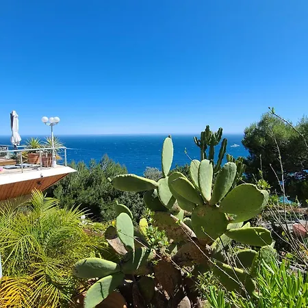 Sur - Vue Saint Jean Cap Ferrat Villa