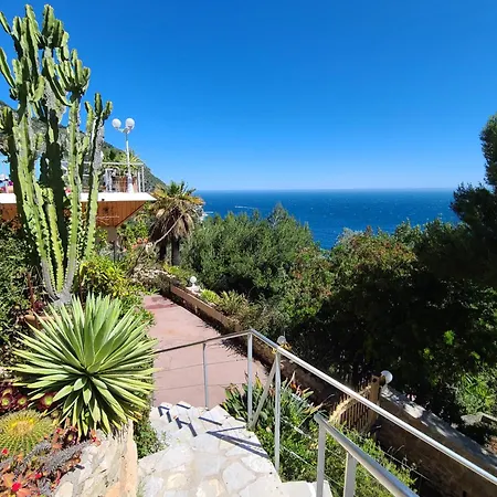 Sur - Vue Saint Jean Cap Ferrat *